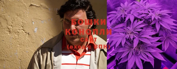 шишки Балабаново