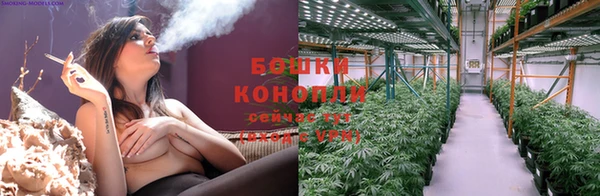 ПСИЛОЦИБИНОВЫЕ ГРИБЫ Армянск