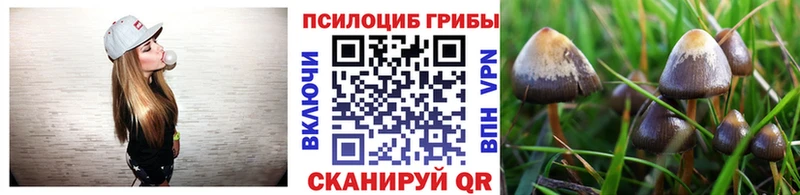 omg зеркало  это наркотические препараты  Галлюциногенные грибы прущие грибы  Павловск 